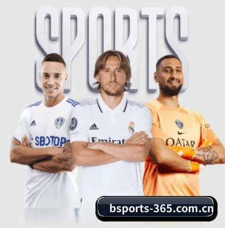 五大服务分区,信息按项目分类(bsport)